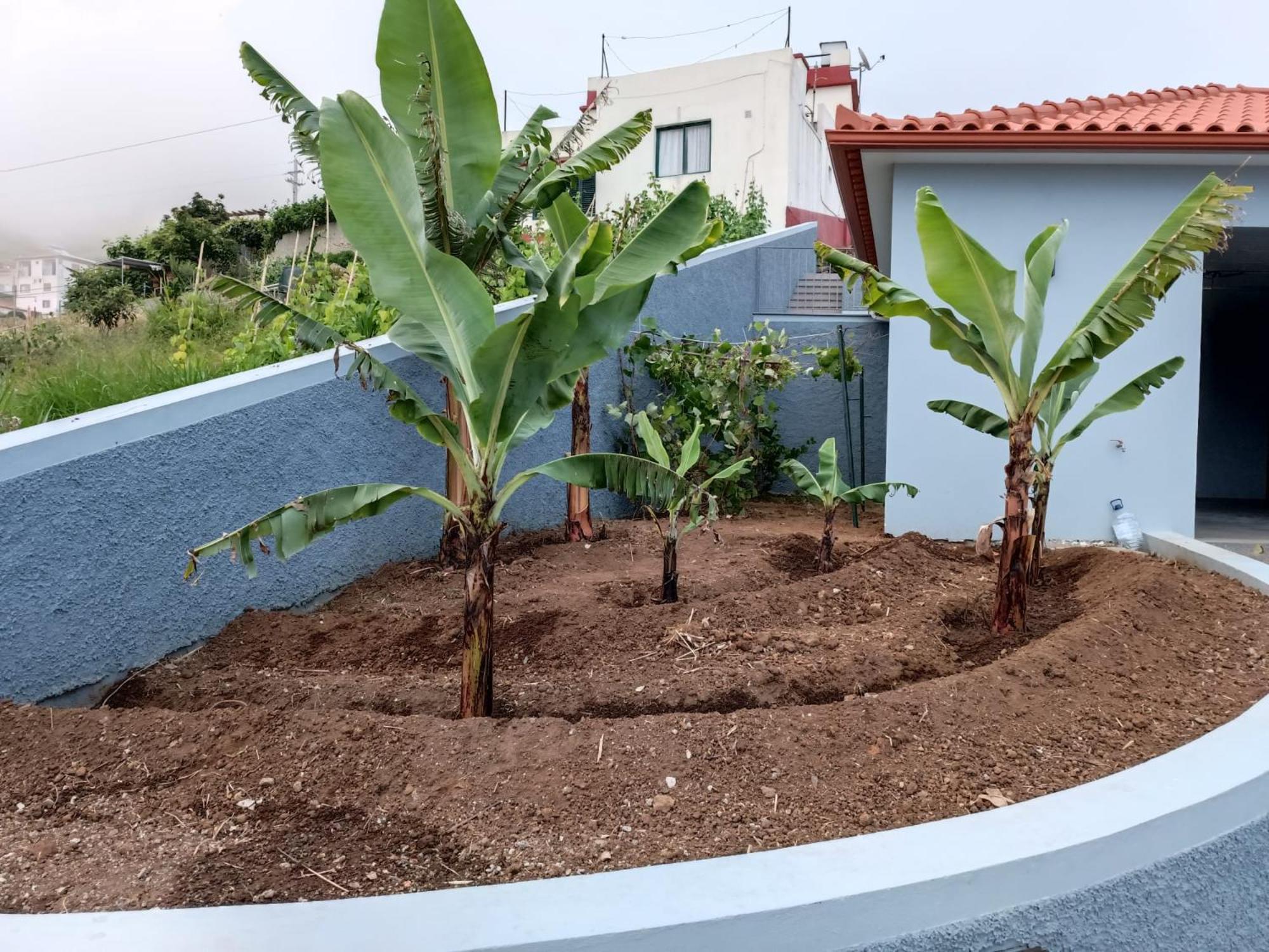 Calheta Paradise Holiday Home Arco da Calheta  Exterior foto